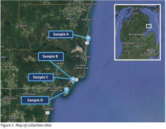 Map of Lake Huron collection sites for PFAS foam study